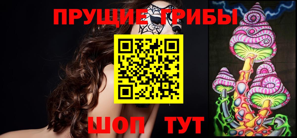Псилоцибиновые грибы мицелий  Вход с VPN  Полевской  Галлюциногенные грибы Psilocybe 