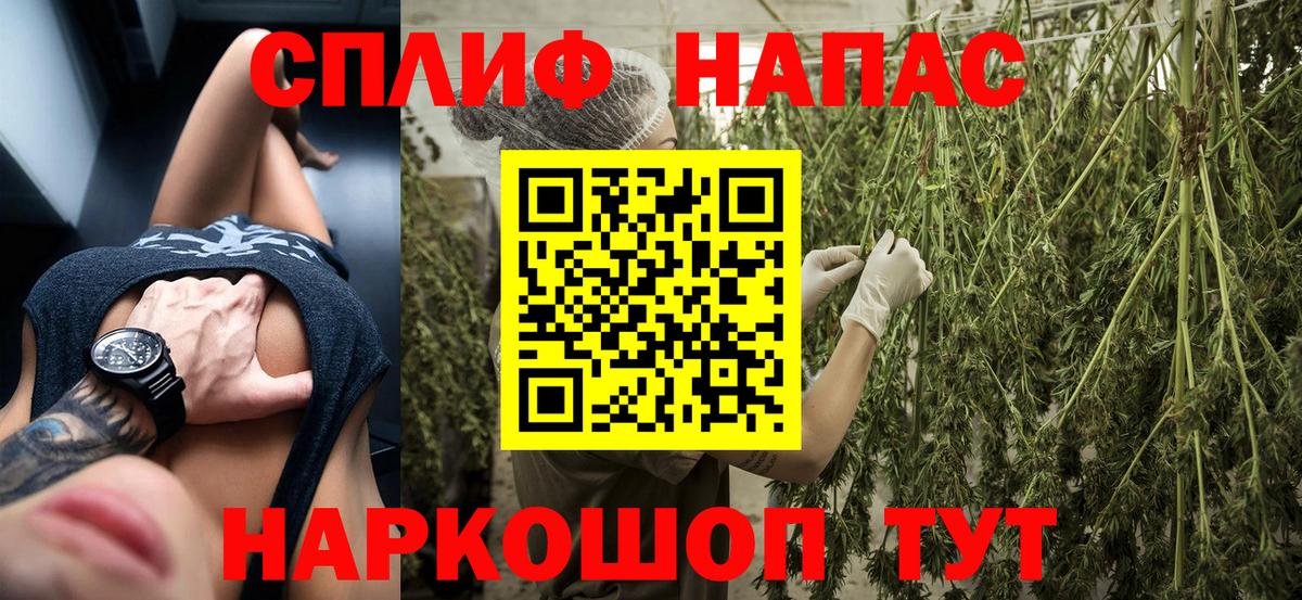 Каннабис OG Kush Полевской